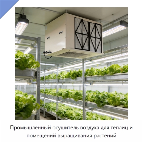 Промышленный осушитель воздуха для теплиц и помещений выращивания растений