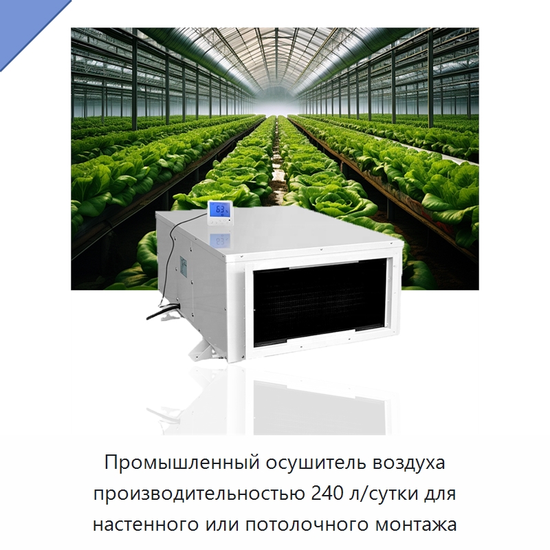 Промышленный осушитель воздуха производительностью 240 л/сутки для настенного или потолочного монтажа — Воздухоочистительное оборудование