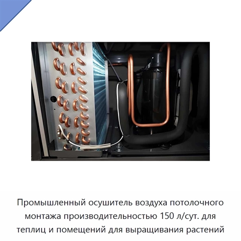Промышленный осушитель воздуха потолочного монтажа производительностью 150 л/сут. для теплиц и помещений для выращивания растений