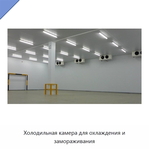 Холодильная камера для охлаждения и замораживания
