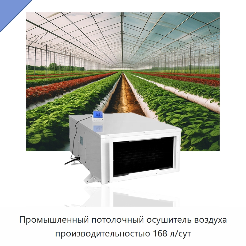 Промышленный потолочный осушитель воздуха производительностью 168 л/сут — Воздухоочистительное оборудование