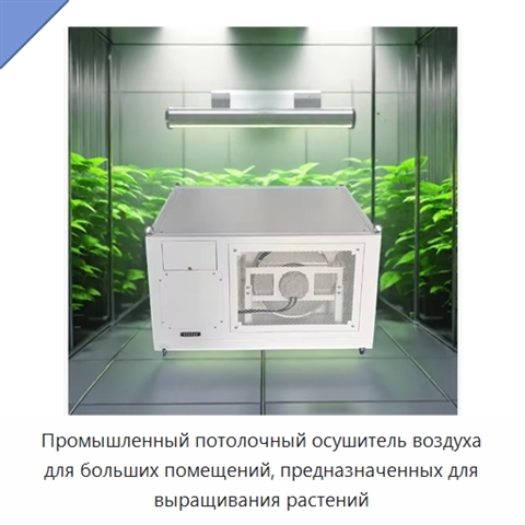 Промышленный потолочный осушитель воздуха для больших помещений, предназначенных для выращивания растений