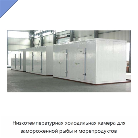 Низкотемпературная холодильная камера для замороженной рыбы и морепродуктов