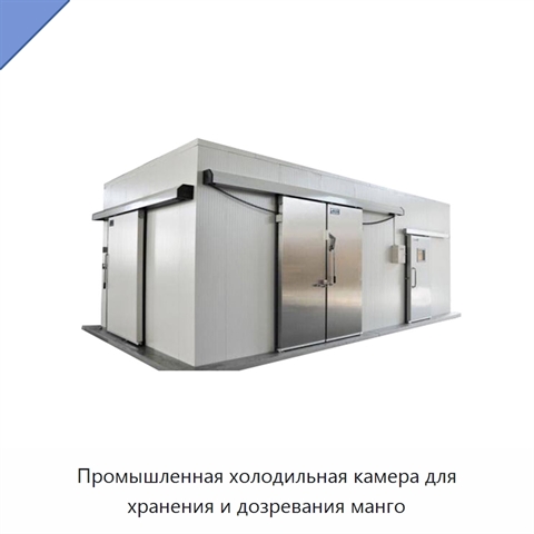 Промышленная холодильная камера для хранения и дозревания манго