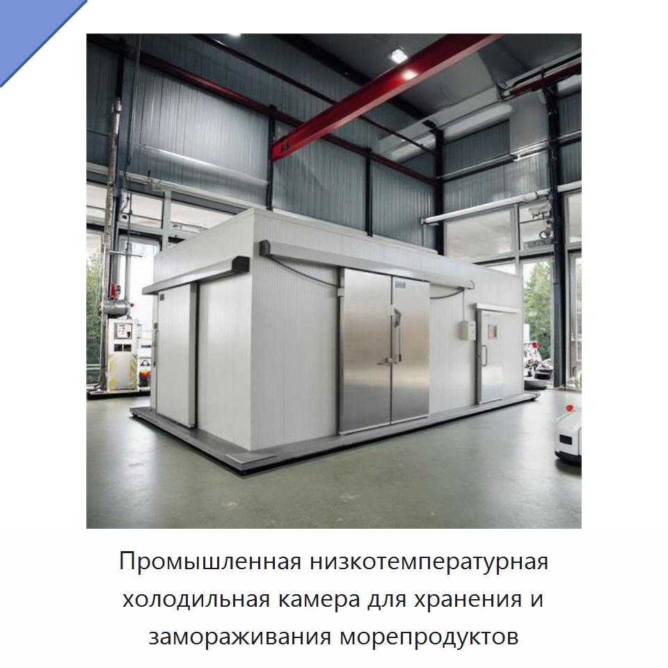 Промышленная низкотемпературная холодильная камера для хранения и замораживания морепродуктов — Холодильные камеры