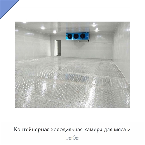Контейнерная холодильная камера для мяса и рыбы