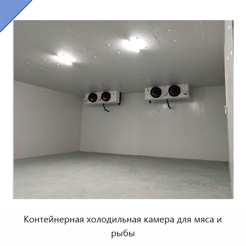 Контейнерная холодильная камера для мяса и рыбы