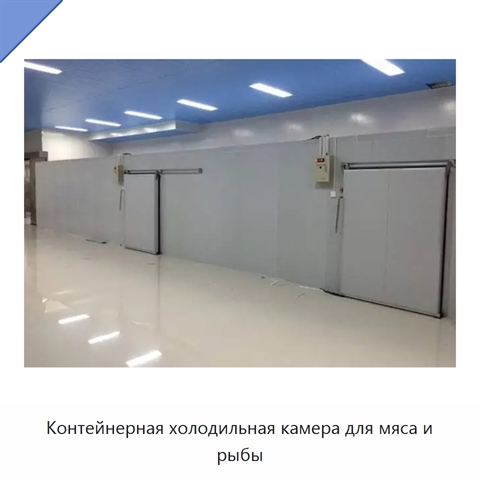 Контейнерная холодильная камера для мяса и рыбы