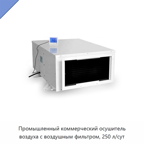 Промышленный коммерческий осушитель воздуха с воздушным фильтром, 250 л/сут