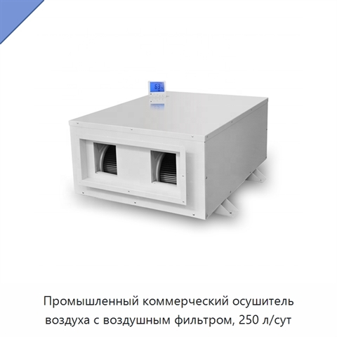 Промышленный коммерческий осушитель воздуха с воздушным фильтром, 250 л/сут