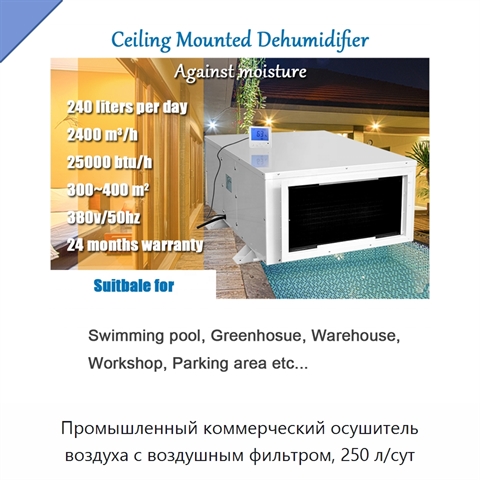 Промышленный коммерческий осушитель воздуха с воздушным фильтром, 250 л/сут