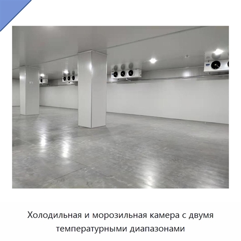 Холодильная и морозильная камера с двумя температурными диапазонами