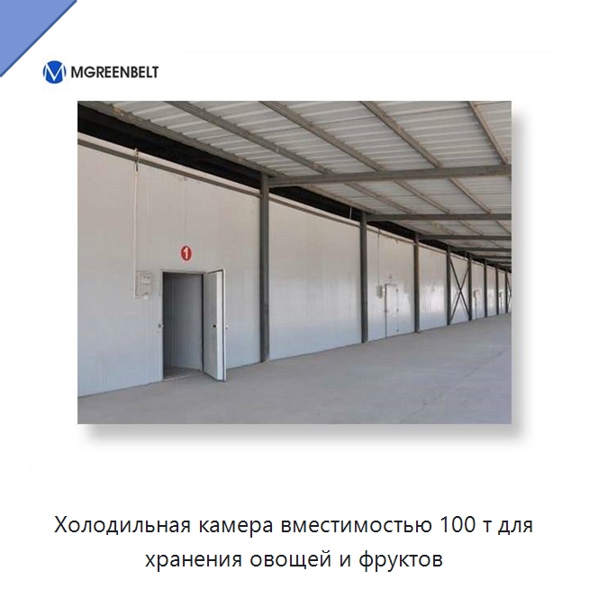 Холодильная камера вместимостью 100 т для хранения овощей и фруктов — Холодильные камеры