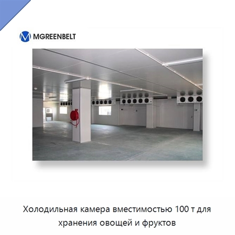 Холодильная камера вместимостью 100 т для хранения овощей и фруктов