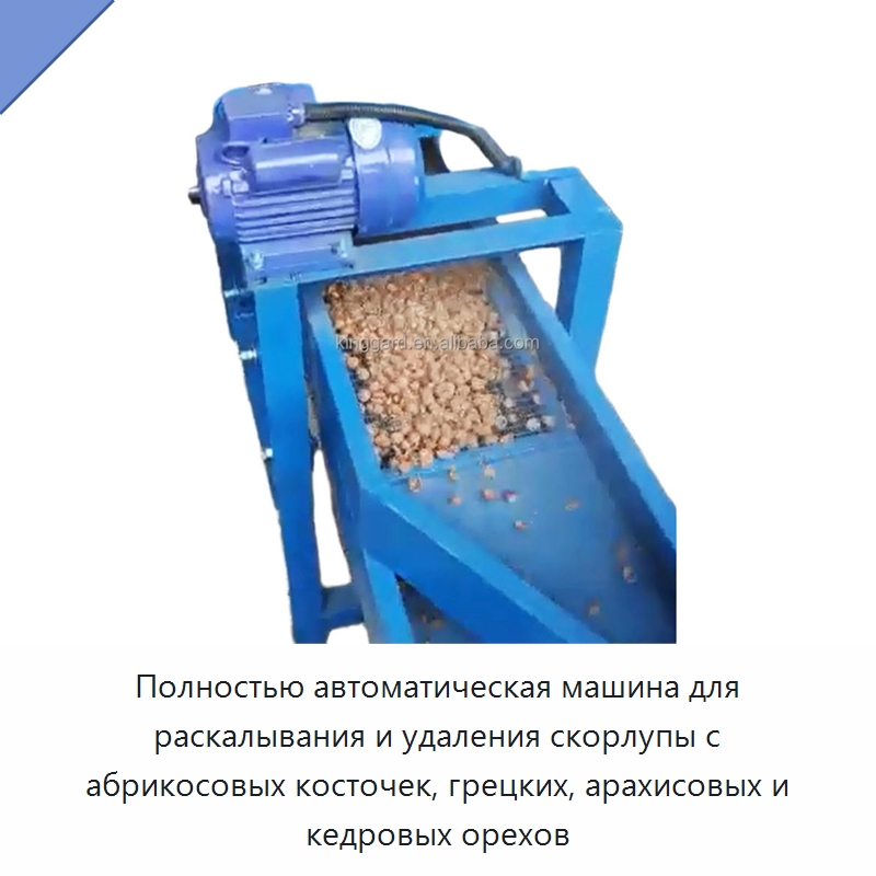 Полностью автоматическая машина для раскалывания и удаления скорлупы с абрикосовых косточек, грецких, арахисовых и кедровых орехов