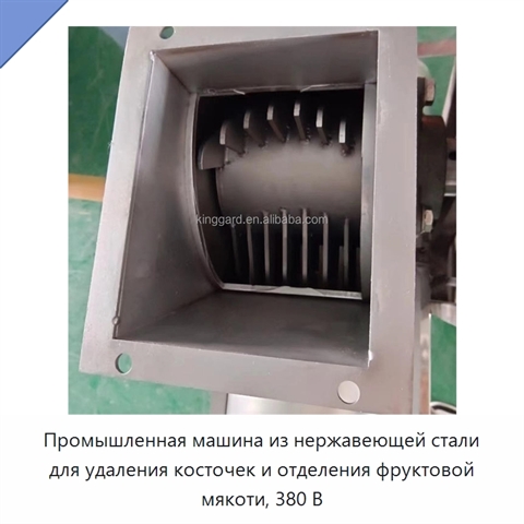 Промышленная машина из нержавеющей стали для удаления косточек и отделения фруктовой мякоти, 380 В