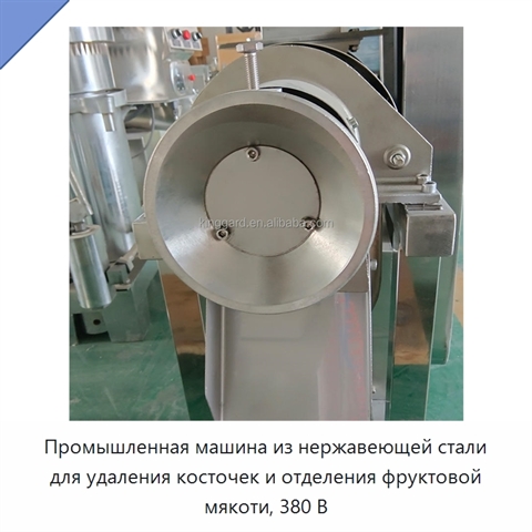 Промышленная машина из нержавеющей стали для удаления косточек и отделения фруктовой мякоти, 380 В