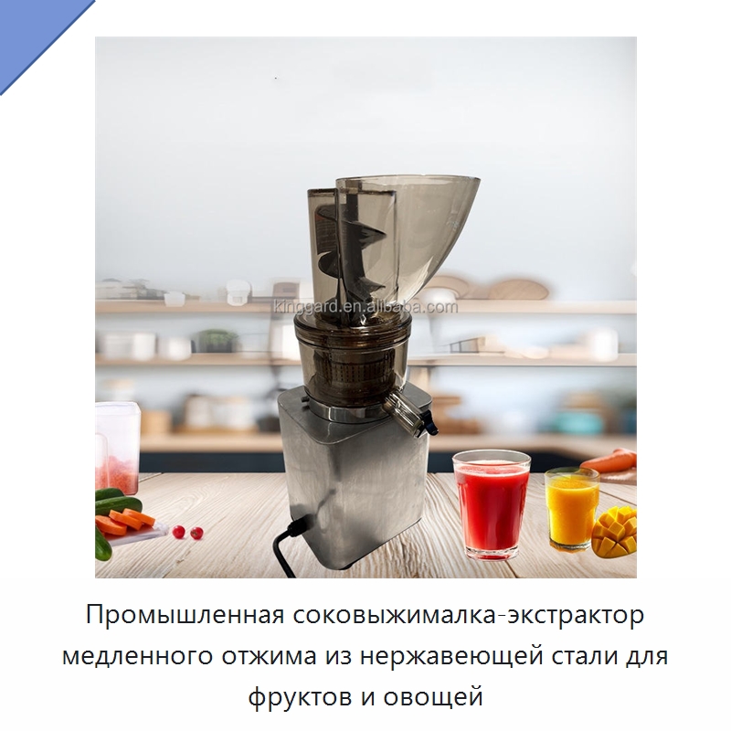 Промышленная соковыжималка-экстрактор медленного отжима из нержавеющей стали для фруктов и овощей — Оборудование для переработки фруктов и овощей