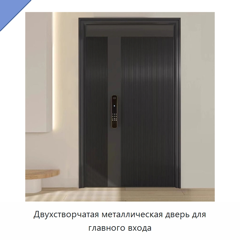 Двухстворчатая металлическая дверь для главного входа
