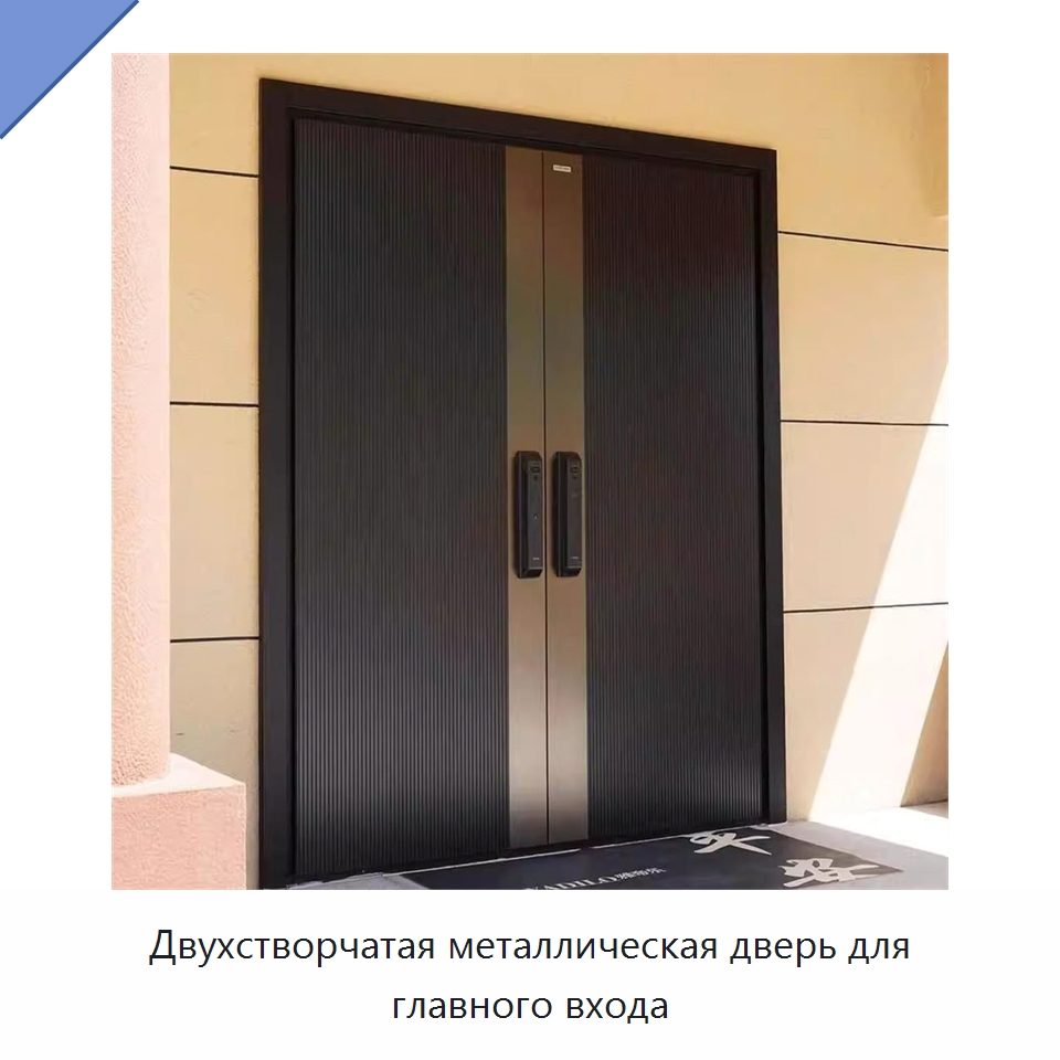 Двухстворчатая металлическая дверь для главного входа
