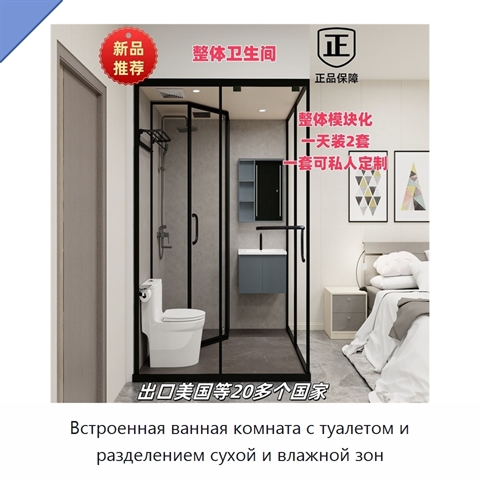 Встроенная ванная комната с туалетом и разделением сухой и влажной зон
