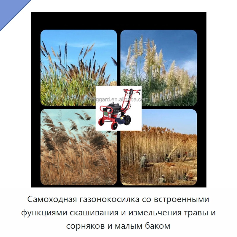 Самоходная газонокосилка со встроенными функциями скашивания и измельчения травы и сорняков и малым баком