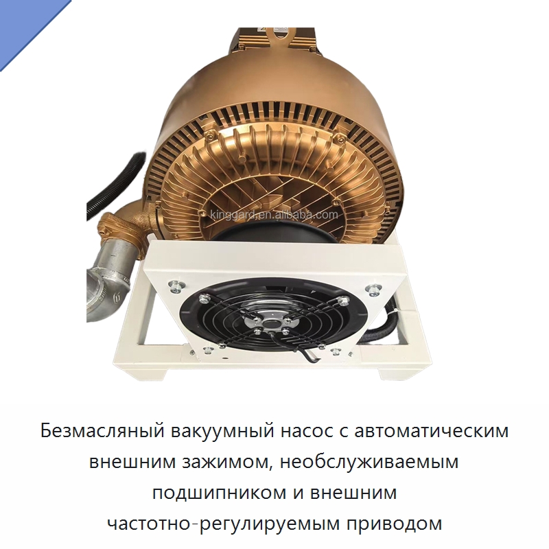 Безмасляный вакуумный насос с автоматическим внешним зажимом, необслуживаемым подшипником и внешним частотно-регулируемым приводом