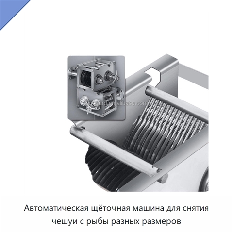 Автоматическая щёточная машина для снятия чешуи с рыбы разных размеров