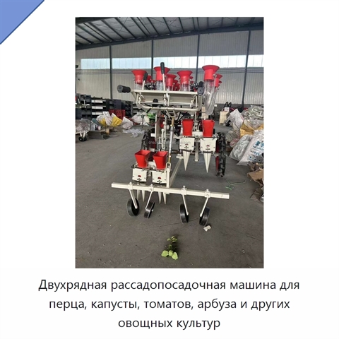 Двухрядная рассадопосадочная машина для перца, капусты, томатов, арбуза и других овощных культур