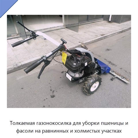 Толкаемая газонокосилка для уборки пшеницы и фасоли на равнинных и холмистых участках