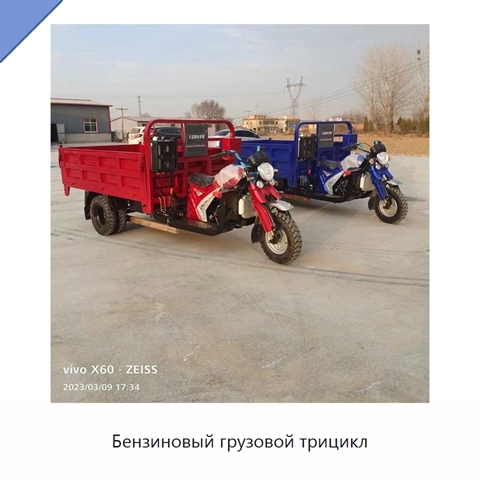 Бензиновый грузовой трицикл