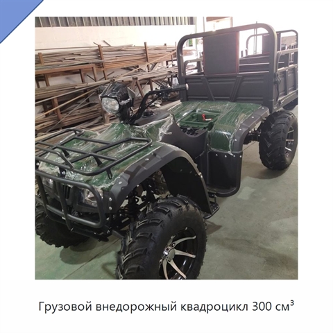 Грузовой внедорожный квадроцикл 300 см³
