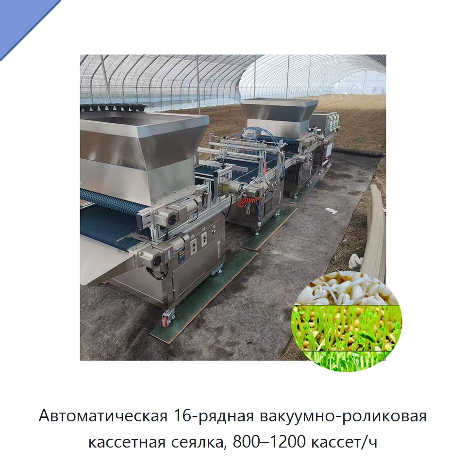 Автоматическая 16-рядная вакуумно-роликовая кассетная сеялка, 800–1200 кассет/ч — Сеялки и рассадопосадочные машины