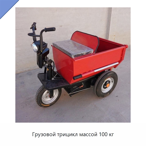 Грузовой трицикл массой 100 кг