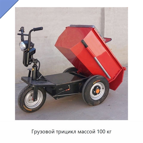 Грузовой трицикл массой 100 кг