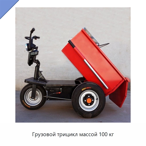 Грузовой трицикл массой 100 кг