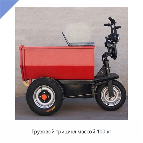 Грузовой трицикл массой 100 кг