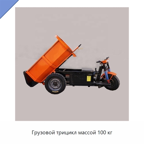 Грузовой трицикл массой 100 кг