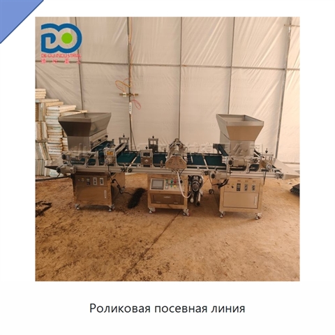 Роликовая посевная линия