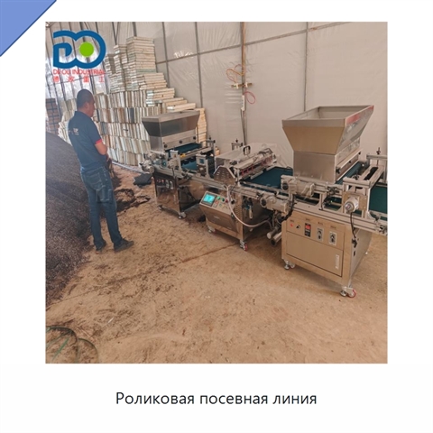 Роликовая посевная линия