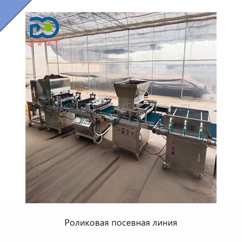 Роликовая посевная линия