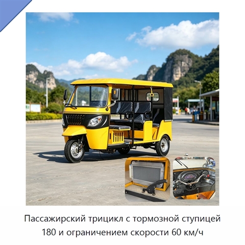 Пассажирский трицикл с тормозной ступицей 180 и ограничением скорости 60 км/ч