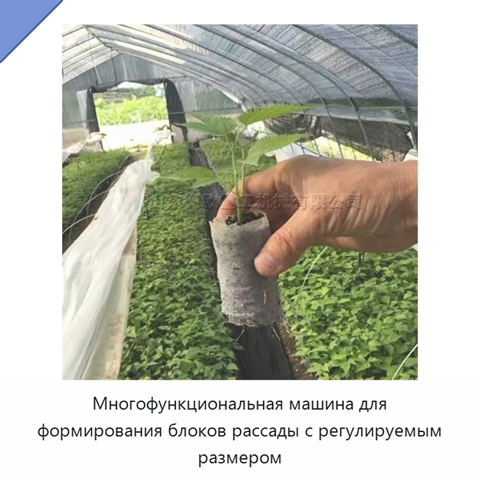 Многофункциональная машина для формирования блоков рассады с регулируемым размером