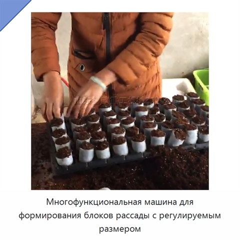 Многофункциональная машина для формирования блоков рассады с регулируемым размером