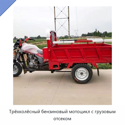 Трёхколёсный бензиновый мотоцикл с грузовым отсеком
