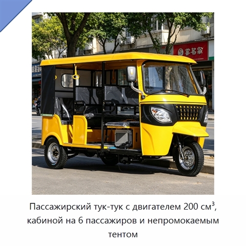 Пассажирский тук-тук с двигателем 200 см³, кабиной на 6 пассажиров и непромокаемым тентом