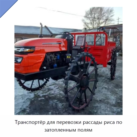 Транспортёр для перевозки рассады риса по затопленным полям