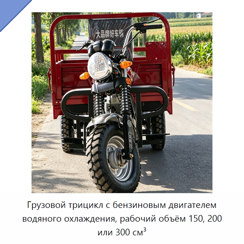 Грузовой трицикл с бензиновым двигателем водяного охлаждения, рабочий объём 150, 200 или 300 см³ — Специальные машины и промышленное оборудование