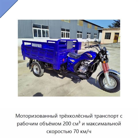 Моторизованный трёхколёсный транспорт с рабочим объёмом 200 см³ и максимальной скоростью 70 км/ч