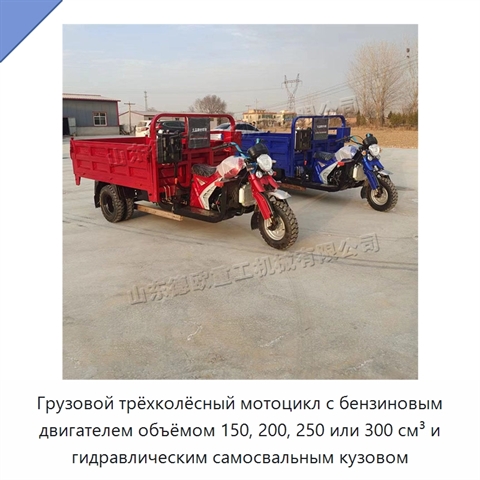 Грузовой трёхколёсный мотоцикл с бензиновым двигателем объёмом 150, 200, 250 или 300 см³ и гидравлическим самосвальным кузовом